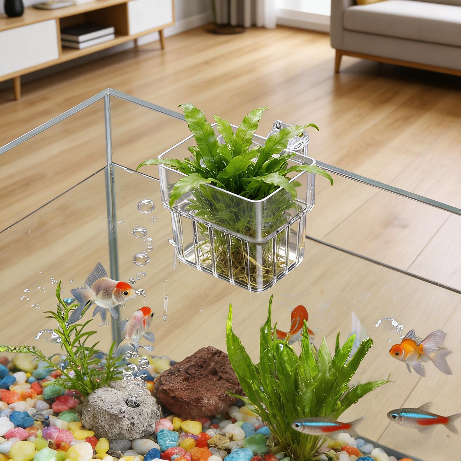 Aquarium Fish Names - Transparent Hangable Aquarium Plant Holder Pot