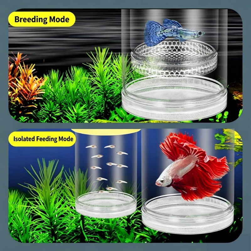 Live Fish Aquarium - Transparent Floating Aquarium Hatch Box, Multifunctional