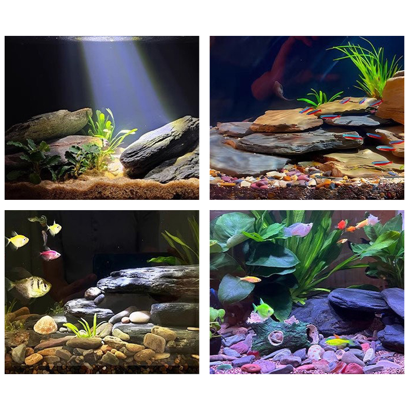 500/1000g Fish Tank Landscape  - огляд і ціна Aquarium Fish Farm