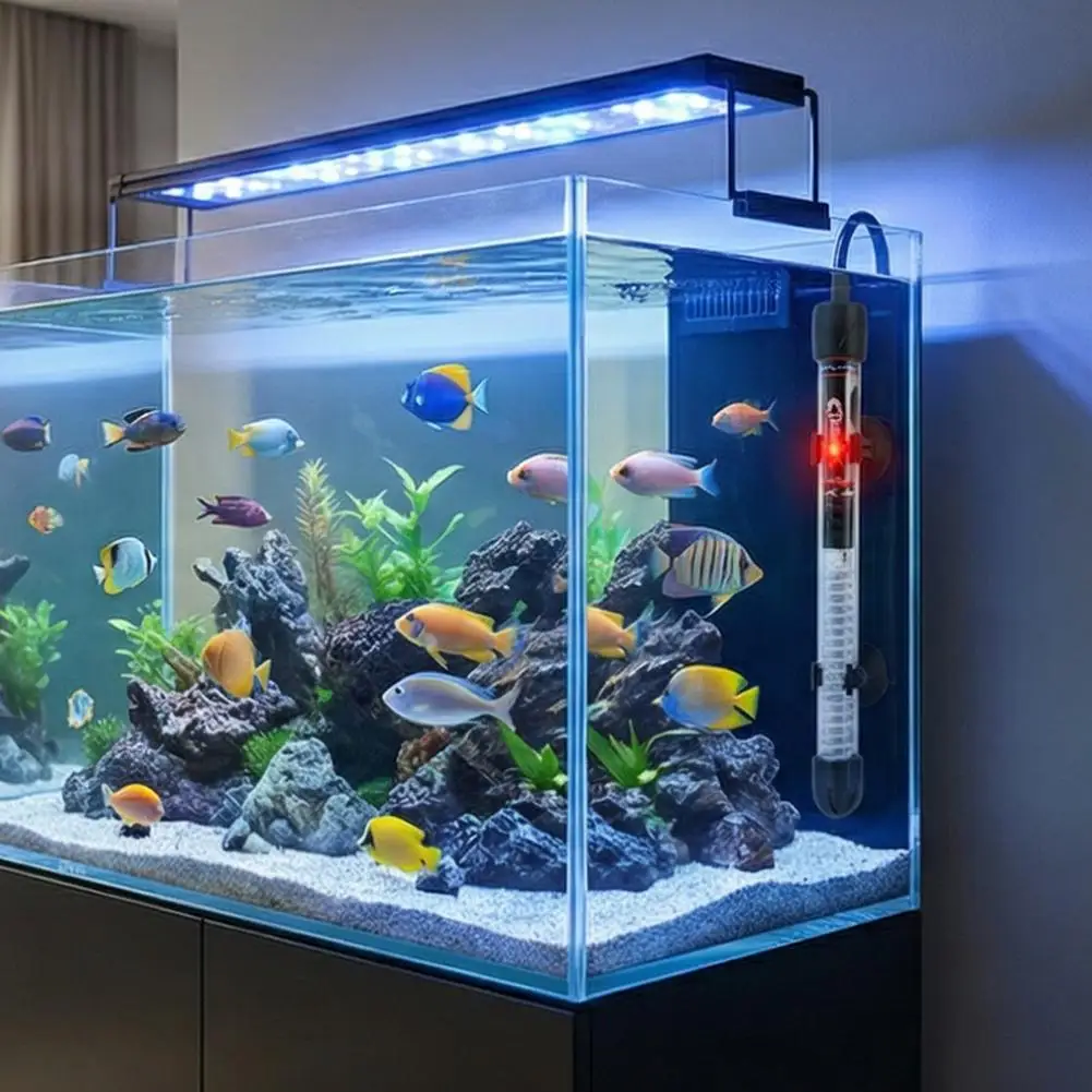 Adjustable Aquarium Heater 25W - огляд і ціна Aquarium Fish Cold Water
