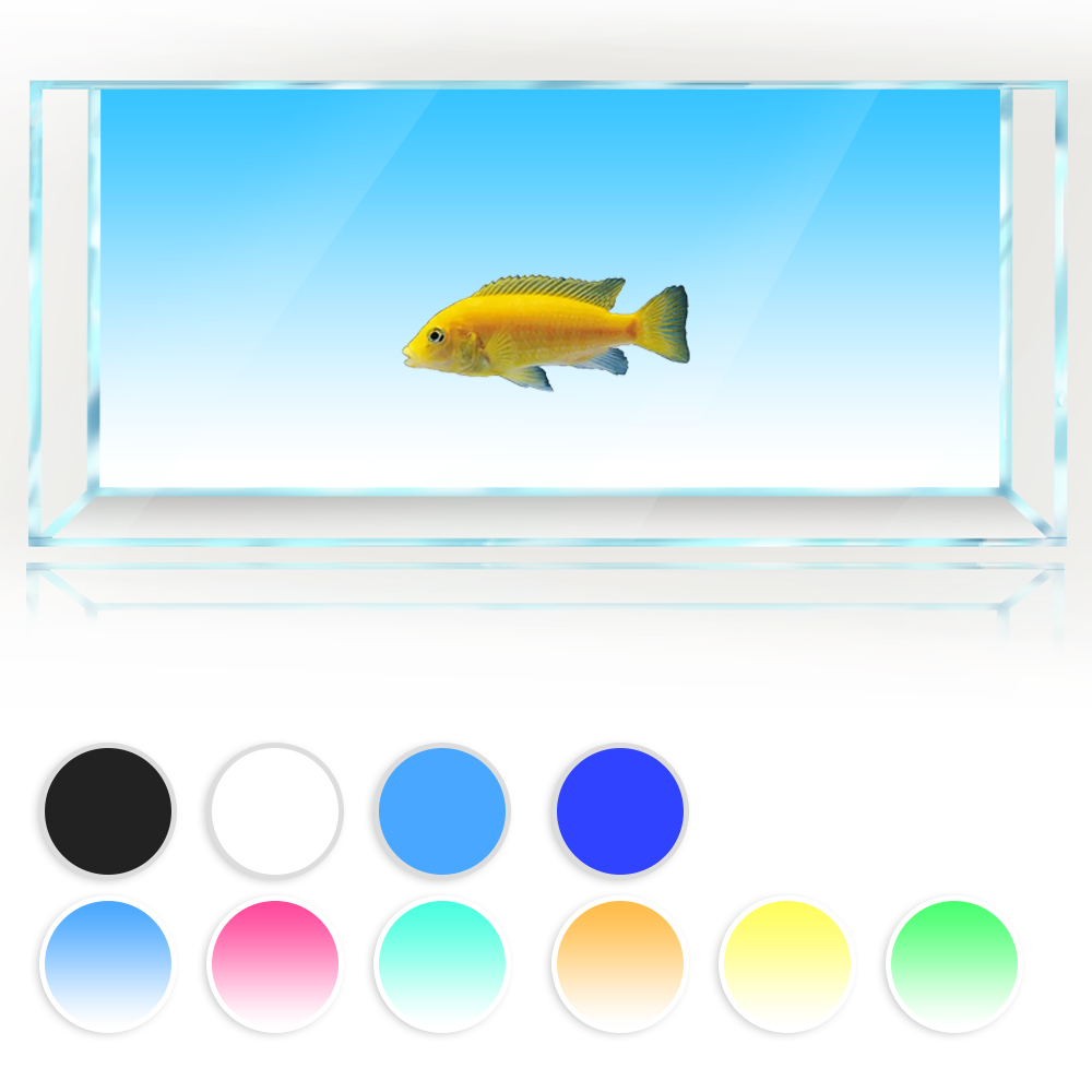 Fish Tank Background White Yel - огляд і ціна Aquarium Fish Yellow And Black