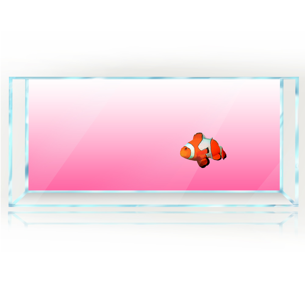 Fish Tank Background White Yel - огляд і ціна Aquarium Fish Yellow And Black