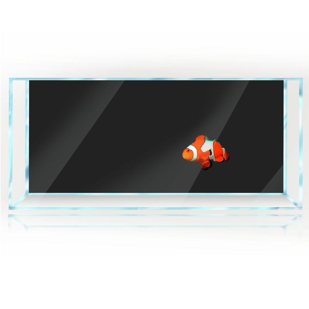 Fish Tank Background White Yel - огляд і ціна Aquarium Fish Yellow And Black