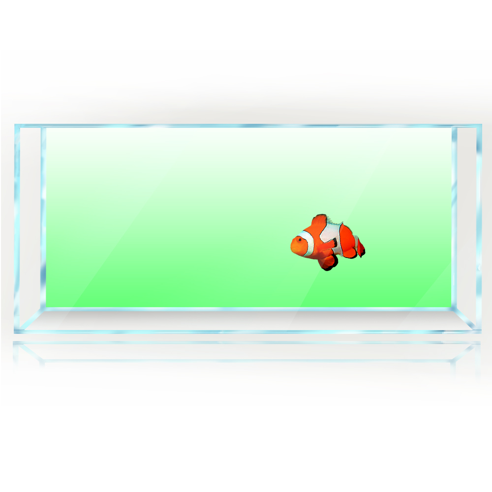 Fish Tank Background White Yel - огляд і ціна Aquarium Fish Yellow And Black