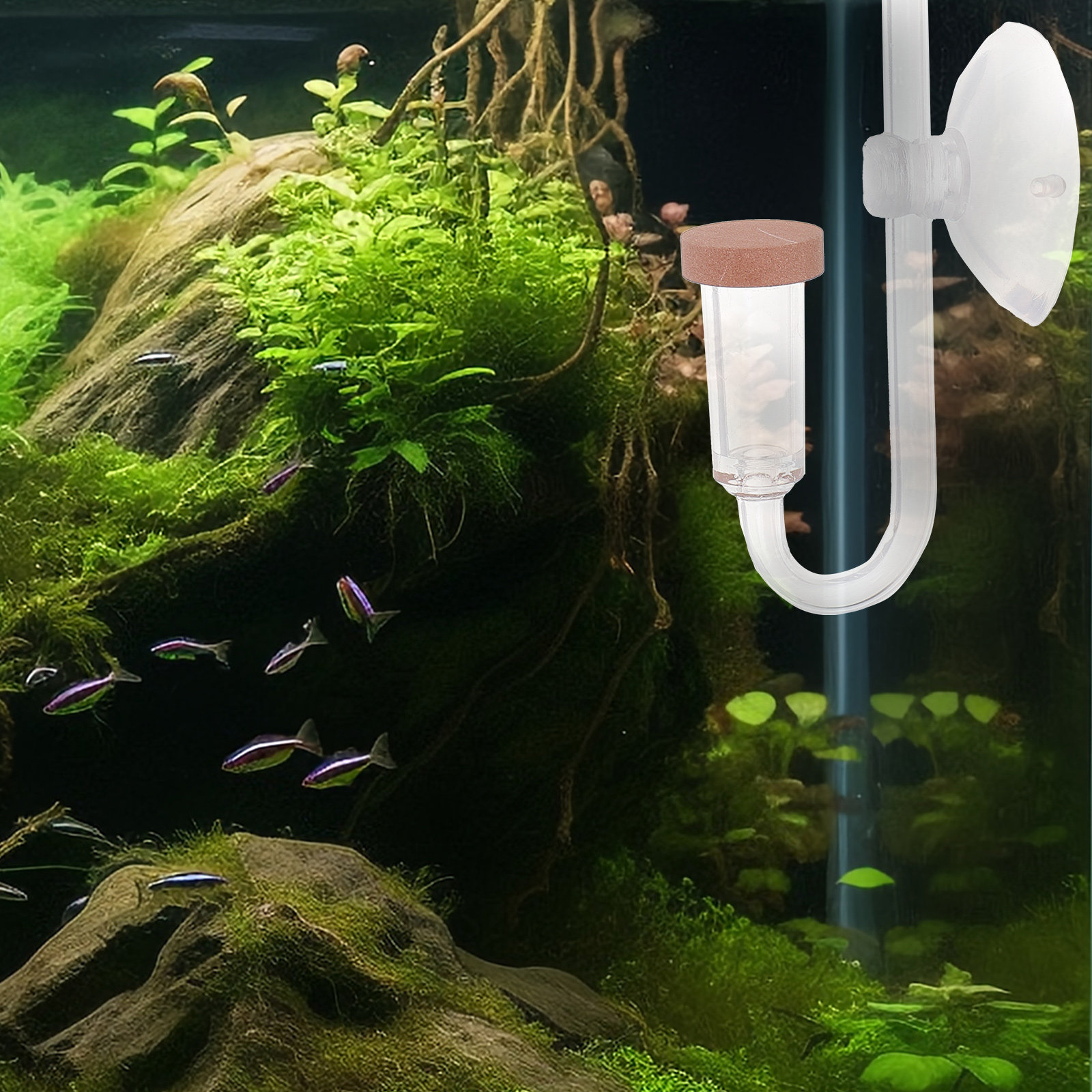 Fish Tank Co2 Refiner Transpar - огляд і ціна Aquarium Fish Rate