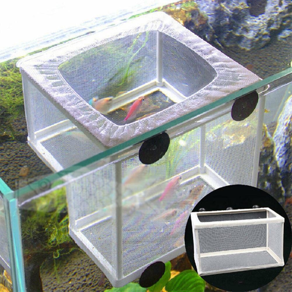 Aquarium Fish Breeder Box with - огляд і ціна Live Fish Aquarium