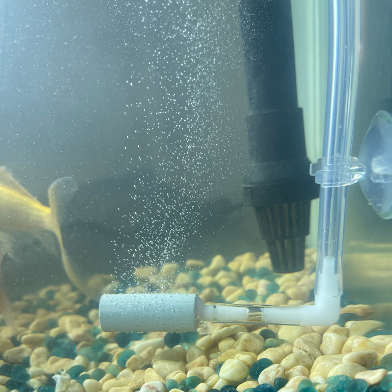 CO2 System Regulator Excellent - огляд і ціна Aquarium Fish Rate