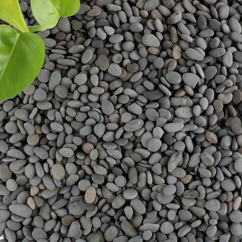 20Pcs Natural River Rocks Smoo - огляд і ціна Aquarium Fish Farm