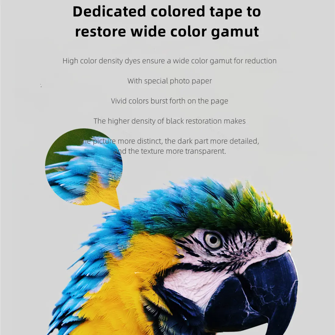 MIjia Photo Printer Dedicated  - огляд і ціна Aquarium Xiaomi