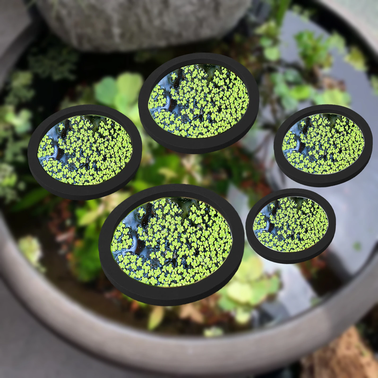 5Pcs EVA Fish Feeding Ring Aqu - огляд і ціна Aquarium Fish Farm