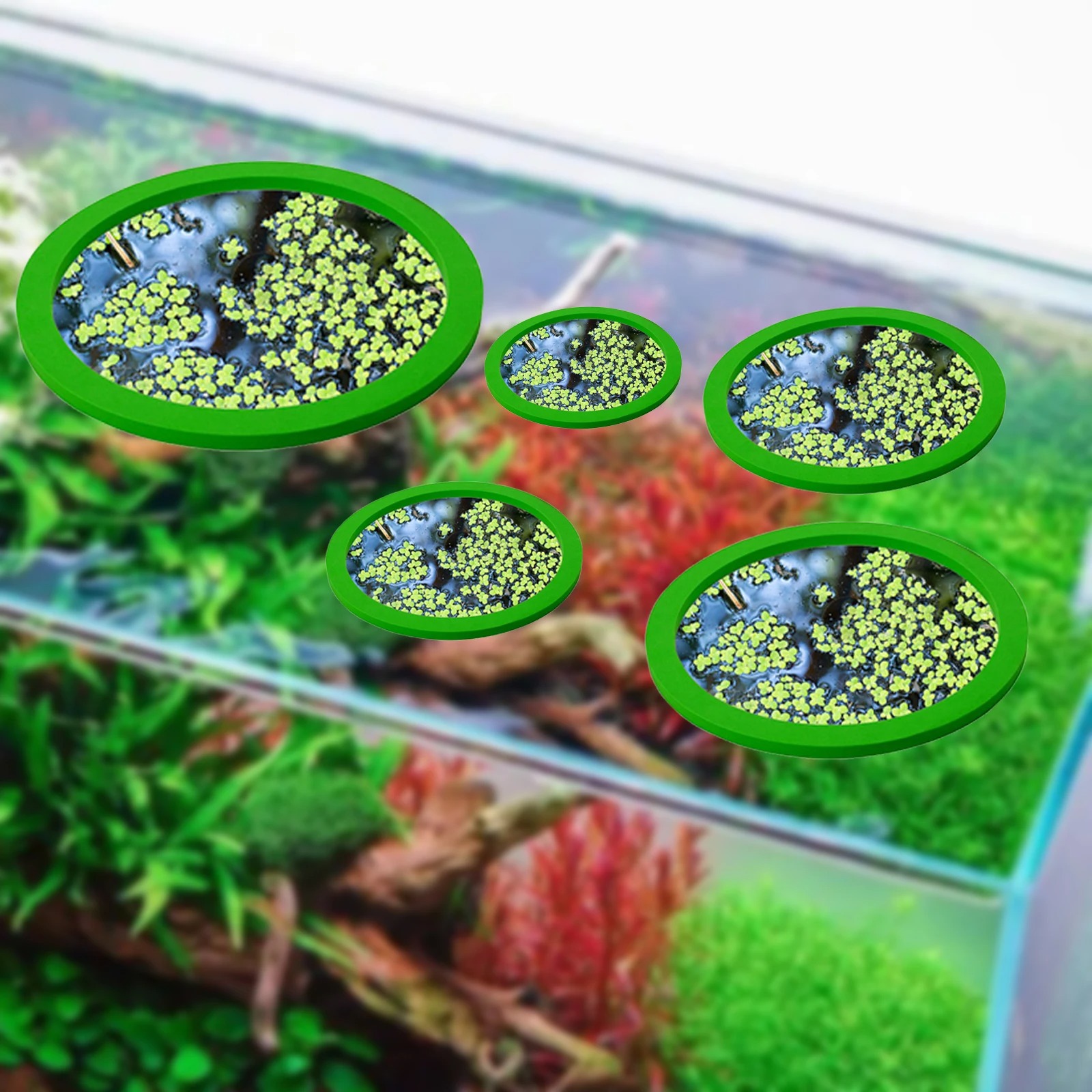 5Pcs EVA Fish Feeding Ring Aqu - огляд і ціна Aquarium Fish Farm