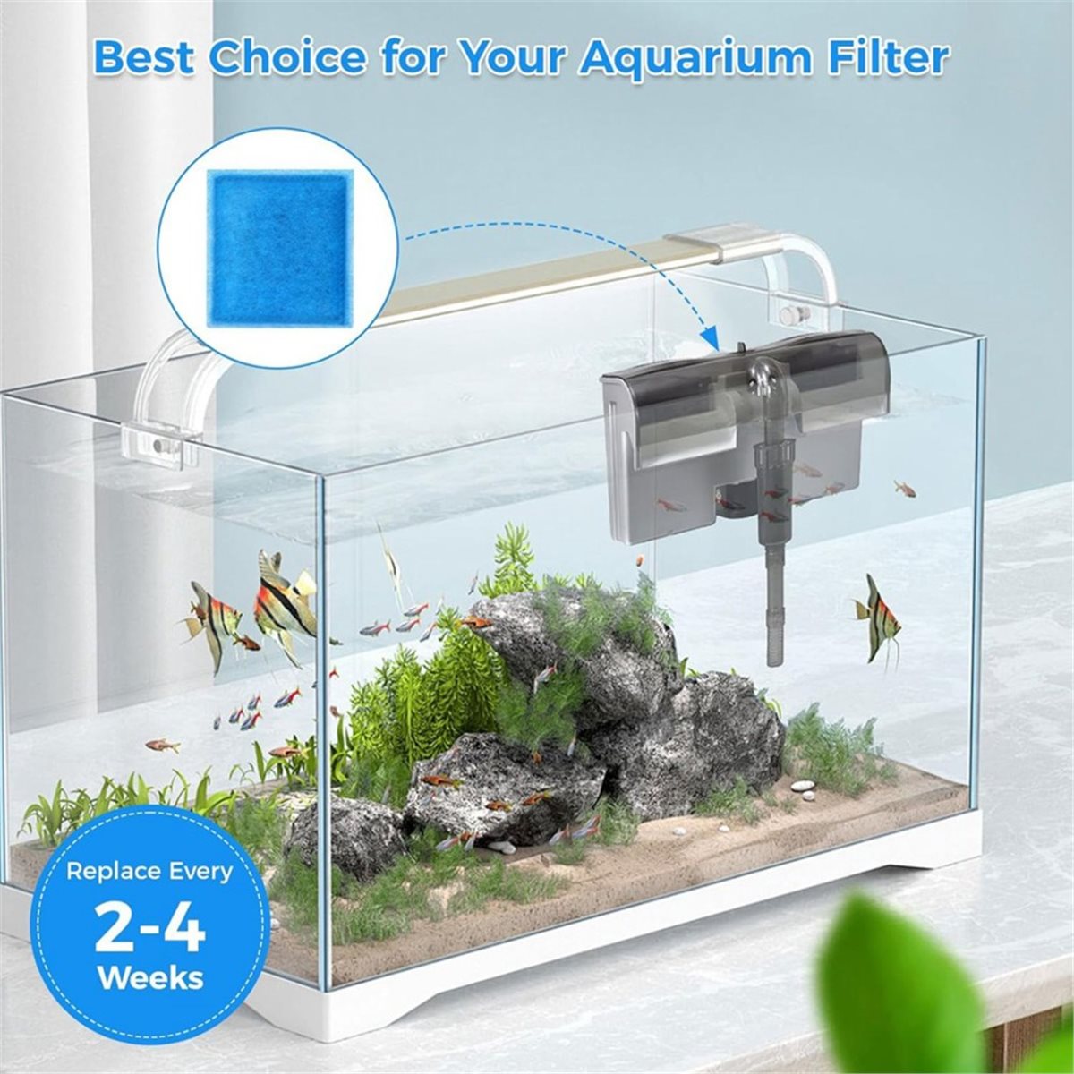 《TOP RATED》10 Pcs Aquarium Fil - огляд і ціна Aquarium Fish Rate