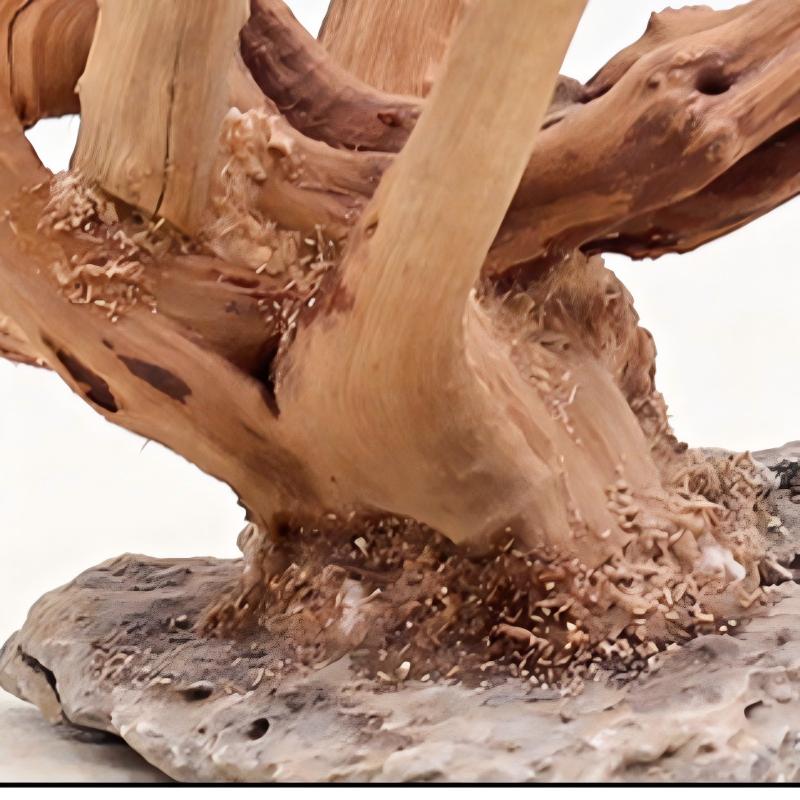 1PC Aquarium Landscaping Wood  - огляд і ціна Aquarium Fish Names