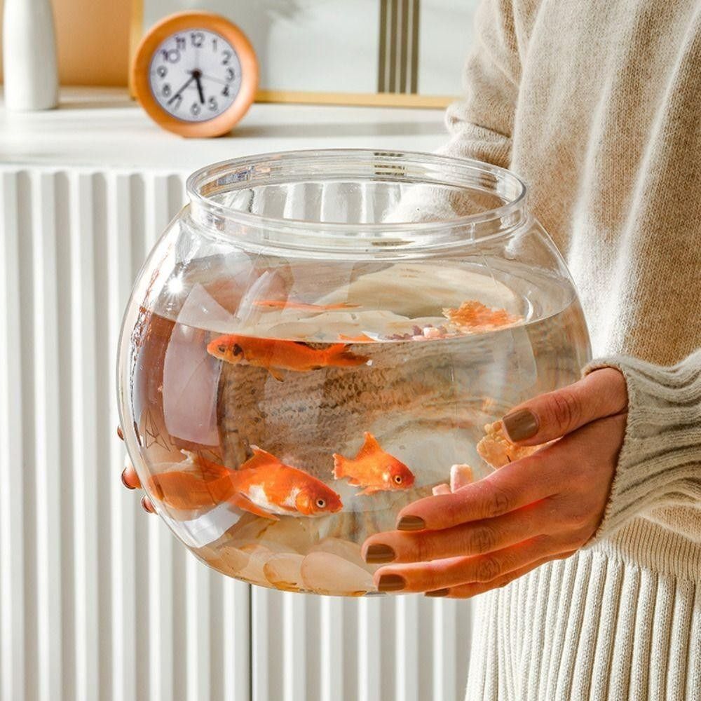 New Transparent Fish Tank Roun - огляд і ціна Aquarium Fish Names