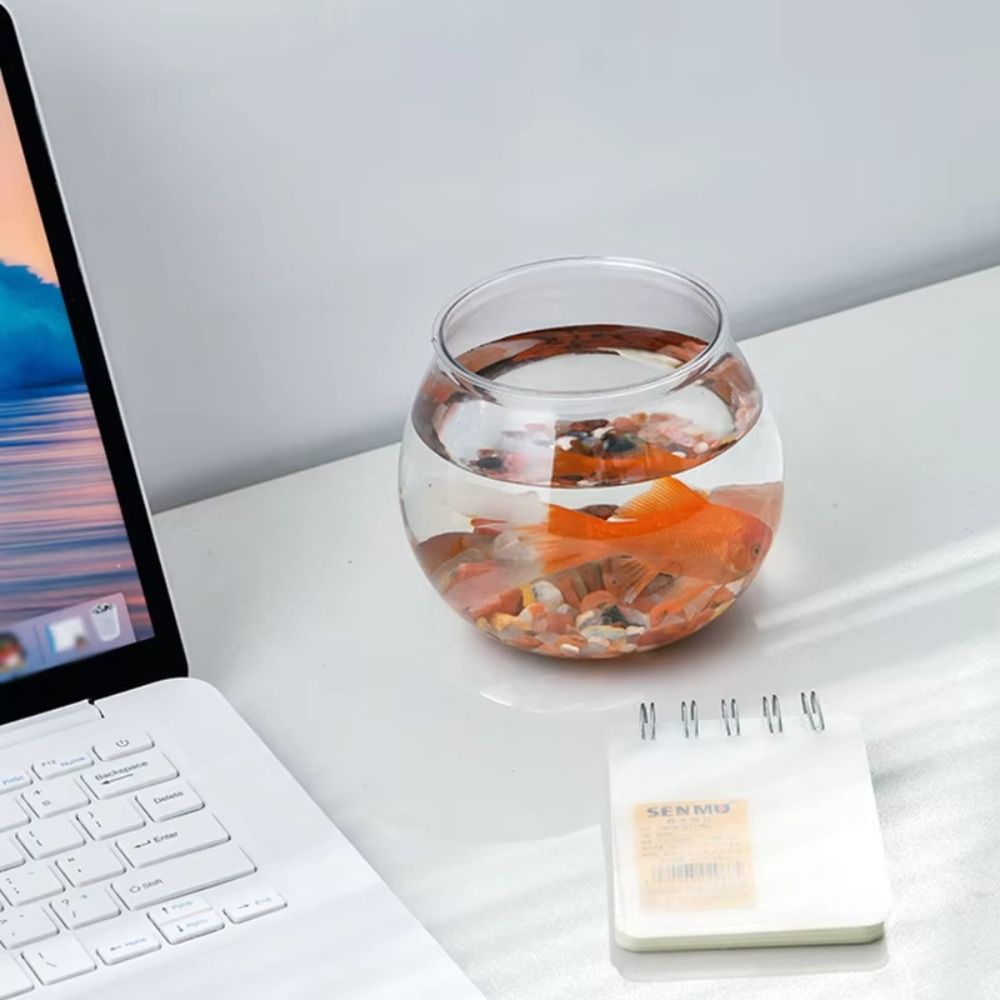 New Transparent Fish Tank Roun - огляд і ціна Aquarium Fish Names