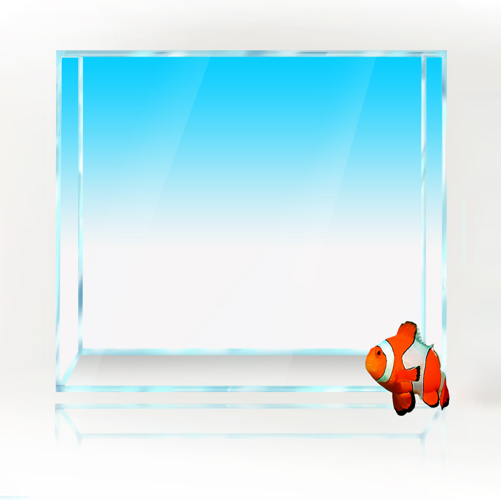 Square Fish Tank Background Wh - огляд і ціна Aquarium Fish Yellow And Black