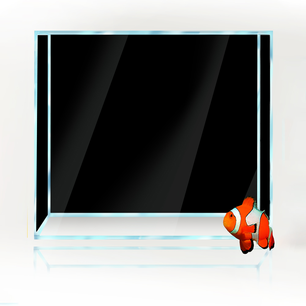 Square Fish Tank Background Wh - огляд і ціна Aquarium Fish Yellow And Black
