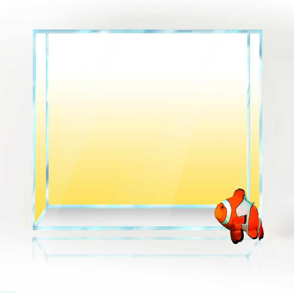 Square Fish Tank Background Wh - огляд і ціна Aquarium Fish Yellow And Black